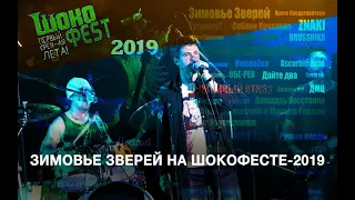 Зимовье Зверей  | Выступление на "Шокофесте 2019" | Live | Константин Арбенин