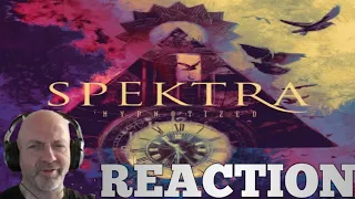 Spektra - Freefall REACTION