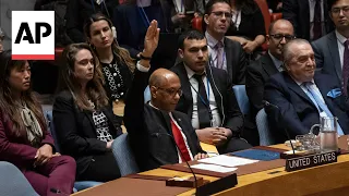 Moment US vetoes resolution backing full UN membership for Palestine