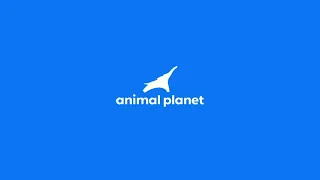 Animal Planet On Demand