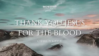 Thank You Jesus for the Blood | Charity Gayle (Lyric Video)