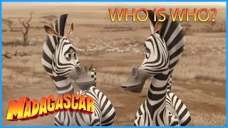 DreamWorks Madagascar | Where is Marty? 🦓 |  Madagascar: Escape 2 Africa Movie