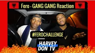 Fero - Gang Gang Reaction - Harvey Don TV @raymanbeats