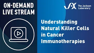 Understanding Natural Killer Cells in Cancer Immunotherapies