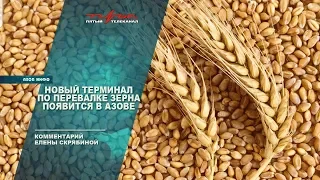 Новый терминал по перевалке зерна появится в Азове