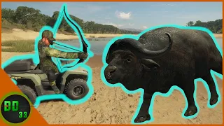 Texas Heart Shots ATV's and Big Cape Buffalo! Call Of The Wild