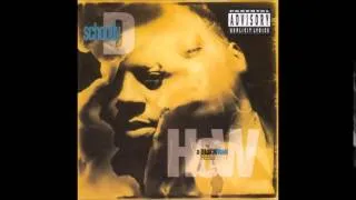 Schoolly D - Run (How A Black Man Feels 1991)