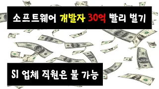 개발자 30억 빨리 돈벌기. SI 바닥에서 과연 이 정도 돈을 벌 수 있을까? 아니면 빠르게 돈을 벌기 위해서는 무슨 방법이 있을까 알아봅시다.