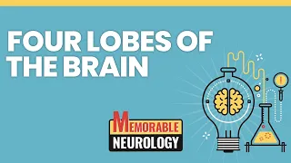Four Lobes of the Brain Mnemonics (Memorable Neurology Lecture 1)
