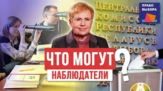 Зачем организовывать наблюдение, если Ермошина и Лукашенко сфальсифицируют выборы? Стрим 19:00