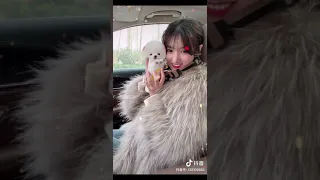 Tik Tok Chó phốc sóc mini Funny and Cute Pomeranian Videos #83