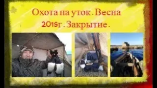 Охота на уток. Весна 2019. Закрытие/DUCK HUNTING 2019