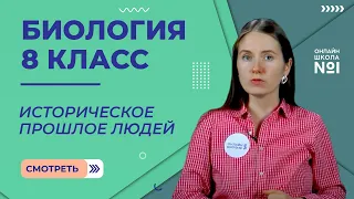 Историческое прошлое людей. Видеоурок 3. Биология 8 класс