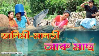 ডালিমী - মালতী আৰু মাছ | Assamese comedy video | Assamese funny video