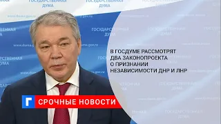 Госдума рассмотрит проекты обращения к Путину о признании ЛНР и ДНР