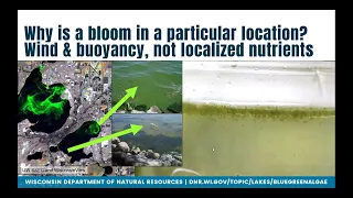 Algal Bloom Action Team December Webinar: Monitoring Cyanobacterial Blooms and Their Public Impacts