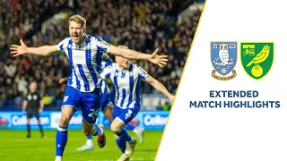 OWLS COME BACK TO EARN PRICELESS POINT! Highlights: Owls v Norwich