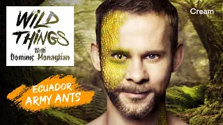 Army Ants | Wild Things with Dominic Monaghan (Season 1 Episode 1) | FULL EPISODE