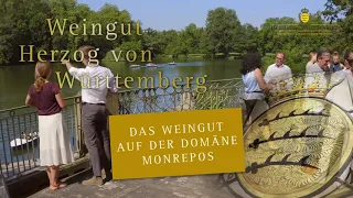 Das Weingut Herzog von Württemberg