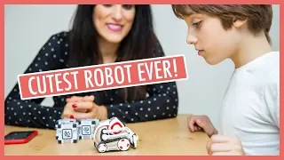 Meet Cozmo: the Cutest and Smartest Robot in the World!!