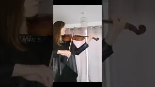 Bad Romance performed on solo violin by Laura Seymour