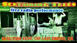 Screaming Trees 1986 KCPR Live Radio Show and Interview