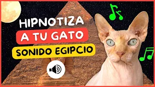 📢😻SONIDO EGIPCIO PARA GATOS TIK TOK🐫🐫 -  SONIDO ANTIGUO EGIPTO🐈