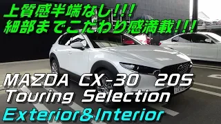 NEW MAZDA CX-30 PROACTIVE Touring Selection エクステリア＆インテリア