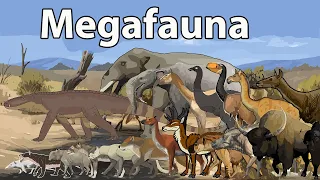 Megafauna Size Comparison in 2024 | Largest Megafauna Size Comparison in 2023 | Prehistoric Fauna