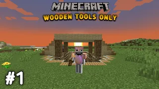 Minecraft survival,tapi pake wooden tools only EPS 1