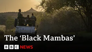 South Africa’s ‘Black Mamba’ anti-poaching unit | BBC News