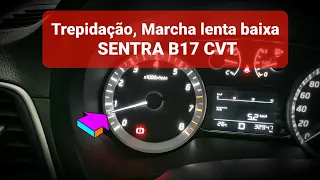 Problema de trepidação e marcha lenta baixa do SENTRA B17 CVT