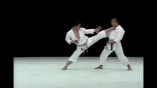 Masao Kagawa Best Karate