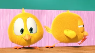 Where's Chicky? Funny Chicky 2023 | SEASON 1 | Cartoon in English for Kids | New episodes