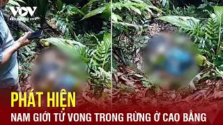 Tối 27/5: Phát hiện xác một nam giới đang phân hủy mạnh trong rừng ở Cao Bằng | Báo Điện tử VOV