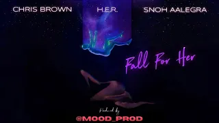 Chris Brown - Fall For Her (Visualizer) ft. H.E.R. & Snoh Aalegra (Produced by Mood Prod)