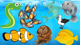 Sea animals for kids Part - 5 / Learn aquatic animals name in english - Sea animals video