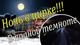 ДИКАЯ НОЧЬ В ЦИРКЕ / 24 hours in Russian Circus