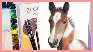 How to Paint a REALISTIC HORSE in Watercolor!