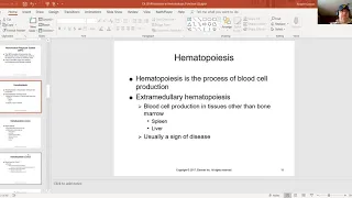 Chapter 20 Pathophysiology