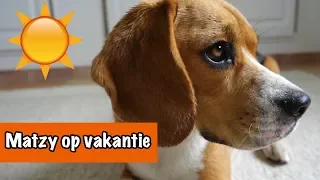 Britt en Matzy op vakantie! | DierenpraatTV