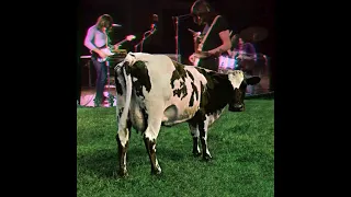 Atom Heart Mother (live)