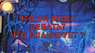 Что он будет делать? Что планирует предпринять?