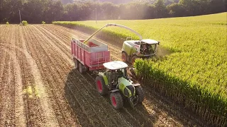 Sklizeň kukuřice 2022 pro BPS Smržice | Claas Arion 650 + Annaburger & Claas jaguar 950