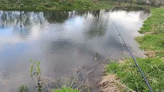 Trout,Perch and Pike fishing