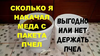 СКОЛЬКО МЕДА ПРИНЕС ПЧЕЛОПАКЕТ ЗА СЕЗОН | ВЫГОДНО ЛИ ДЕРЖАТЬ ПЧЕЛ | Пчеловодство для начинающих