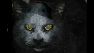 Legend of Ghost Cat, Fairport Harbor Lighthouse, Ohio - Forgotten America Vlogs Halloween Haunted