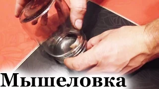 Мышеловка своими руками с 0.5 банки - Как поймать мышей