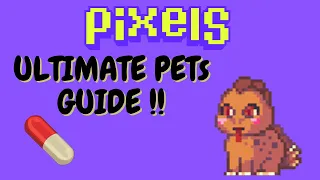 How to Hatch and Take Care of your Pet in Pixels Online !!