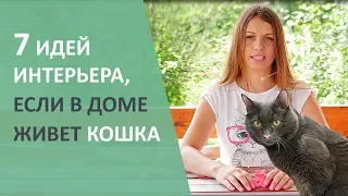 Идеи для кота. Интерьер квартиры, если в нем живёт кошка.